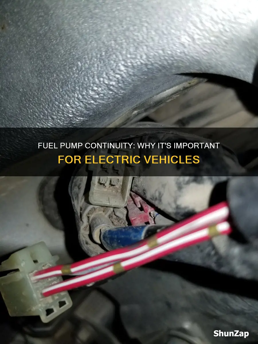 should an electric fuel pump have continuity