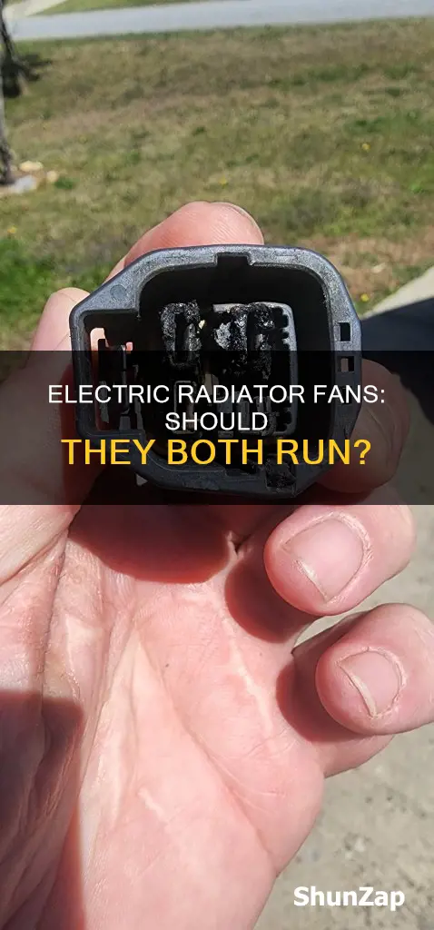 should both electric radiator fans be on