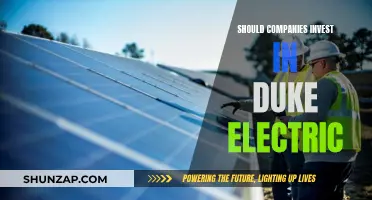 Duke Electric: A Smart Investment for Companies?