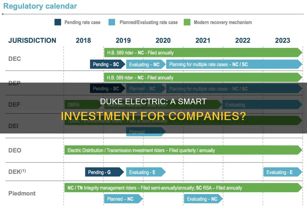 should companies invest in duke electric