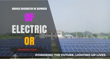 Electricity: A Privilege or a Right? The Edgewater Dilemma