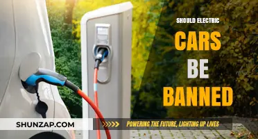 Should Electric Cars Be Banned? Debunking Myths and Exploring Alternatives