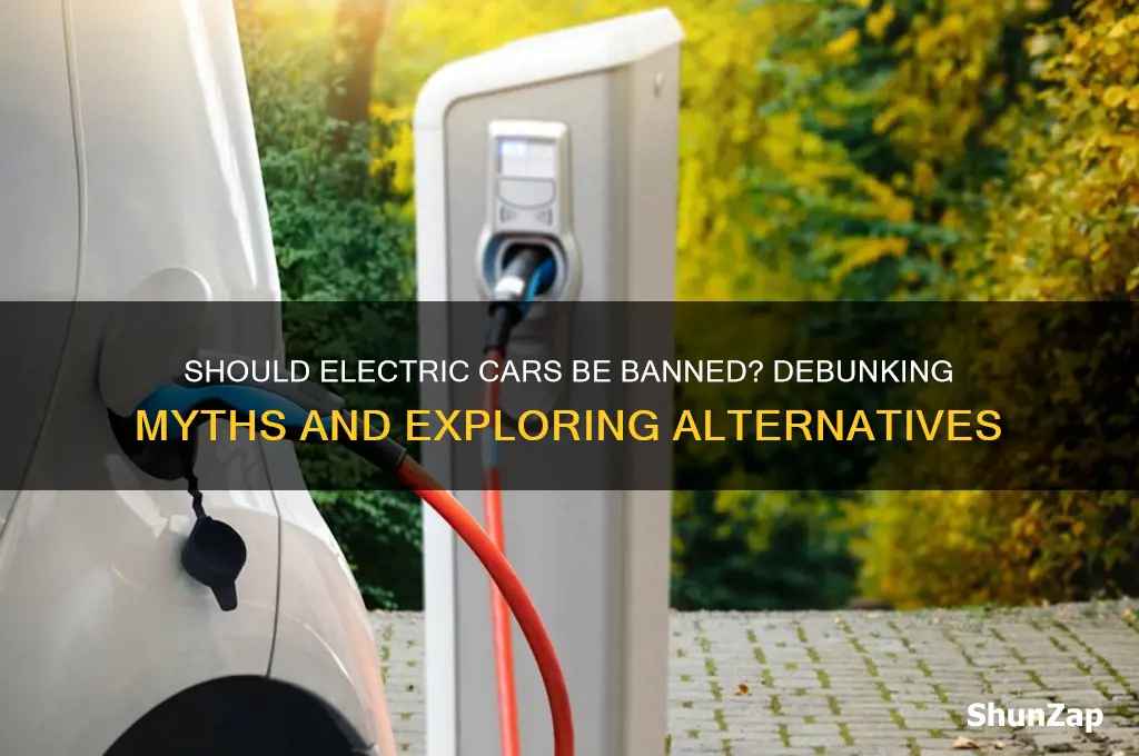 should electric cars be banned