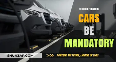Should Electric Cars Be Mandatory? Pros, Cons, and Future Implications