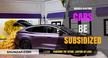 Should Governments Subsidize Electric Cars? Pros, Cons, and Impact
