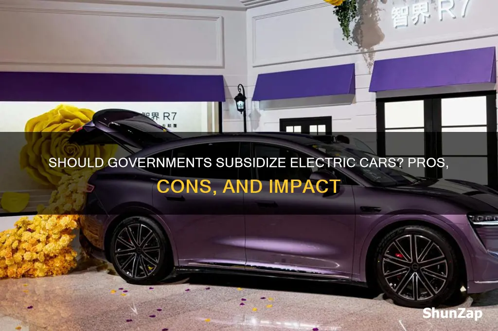 should electric cars be subsidized