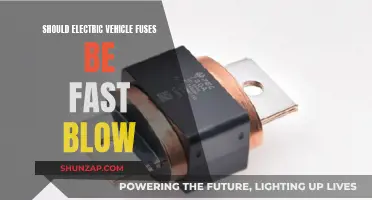 Electric Vehicle Fuses: Fast-Blow or Slow-Burn?