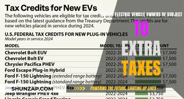 Electric Vehicle Owners: Taxed for a Greener Future?