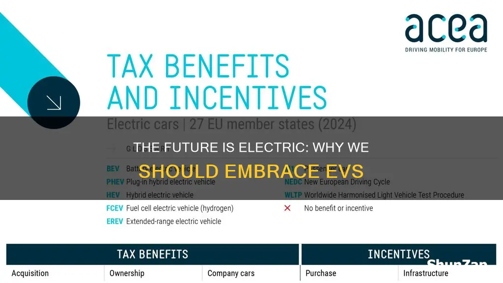 should electric vehicles be encouraged