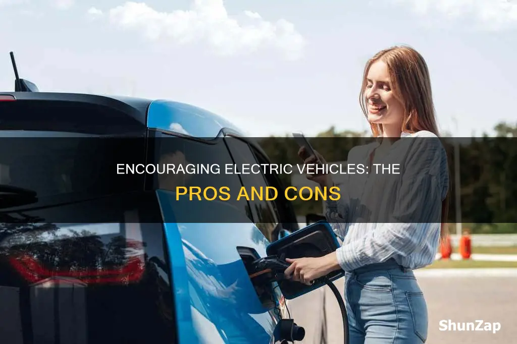 should electric vehicles be encouraged