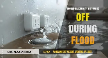 Floods and Power: Should Electricity be Switched Off?
