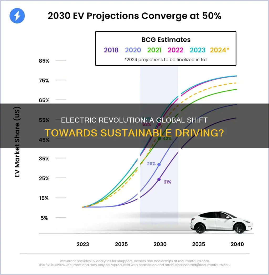 should everyone drive electric vehicles