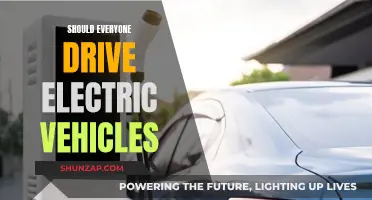 Electric Vehicles: The Future of Driving?