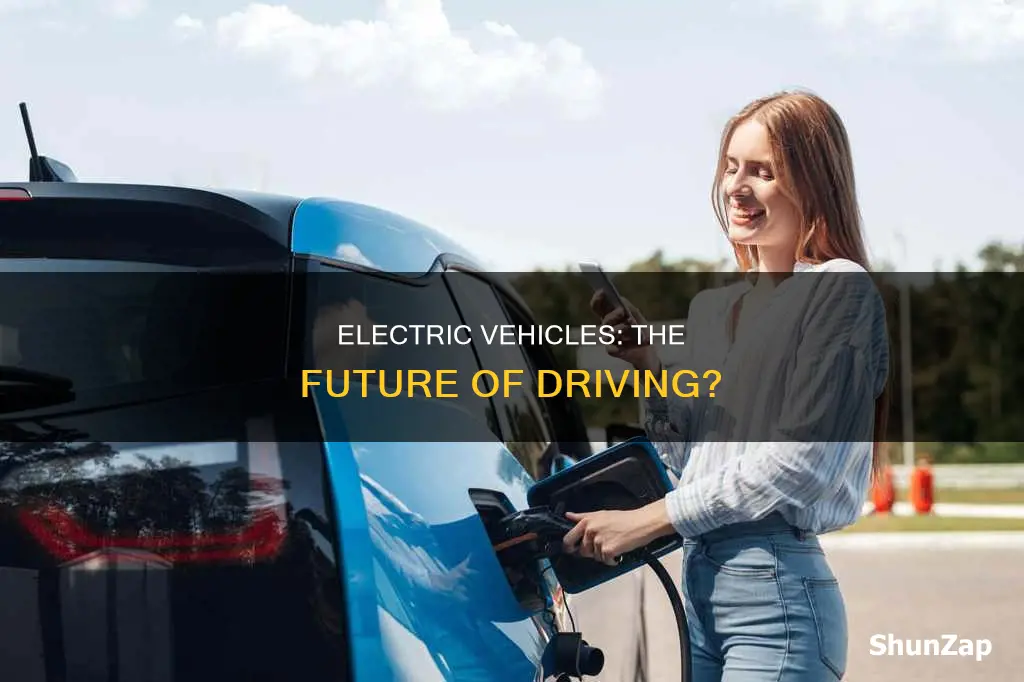should everyone drive electric vehicles
