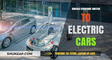 Electric Cars: A Sustainable Choice for Everyone or Not?