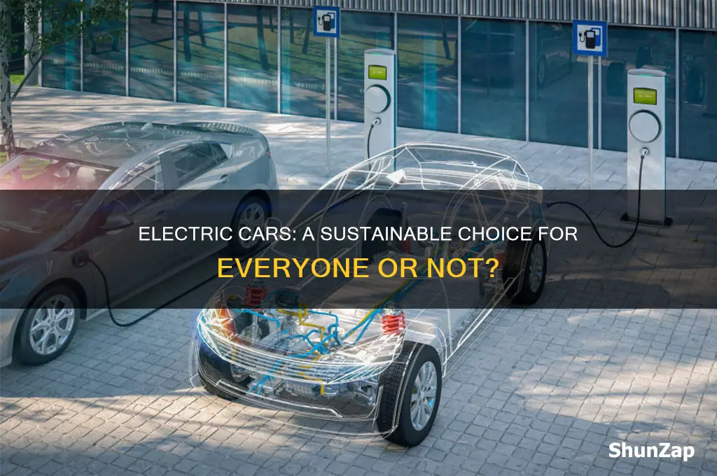 should everyone switch to electric cars
