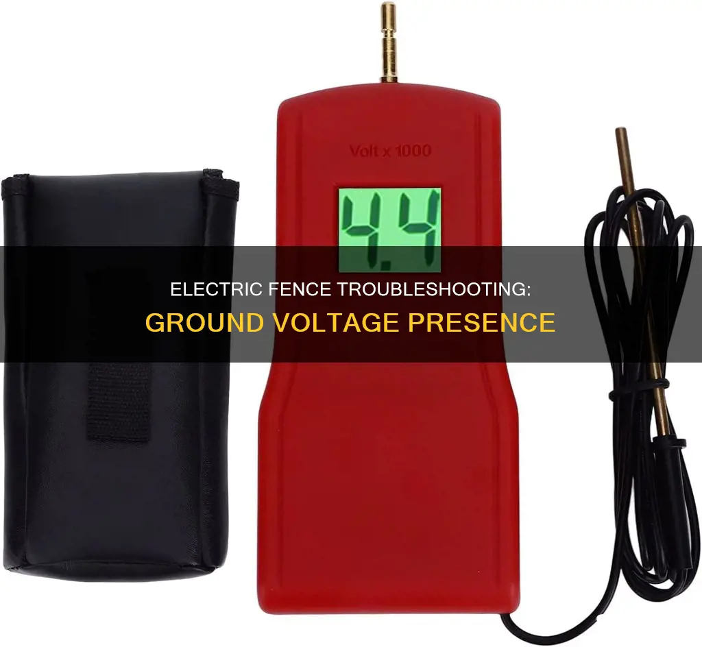 should ground on electric fence show voltage