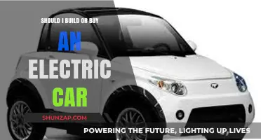 Build vs. Buy: Navigating the Electric Car Decision Dilemma