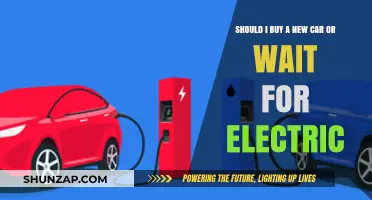 New Car Now or Wait for Electric: Making the Right Choice