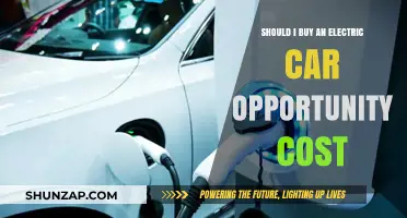 Electric Cars: Weighing Opportunity Costs Before Making the Switch