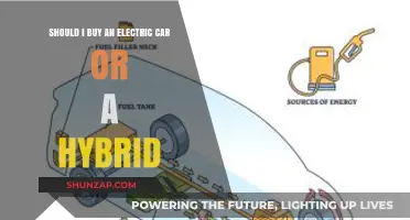 Electric vs. Hybrid: Which Eco-Friendly Car Suits You Best?