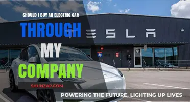 Should Your Company Purchase an Electric Vehicle for You?