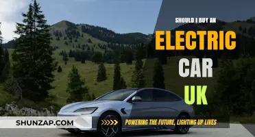 Should You Buy an Electric Car in the UK? Pros and Cons