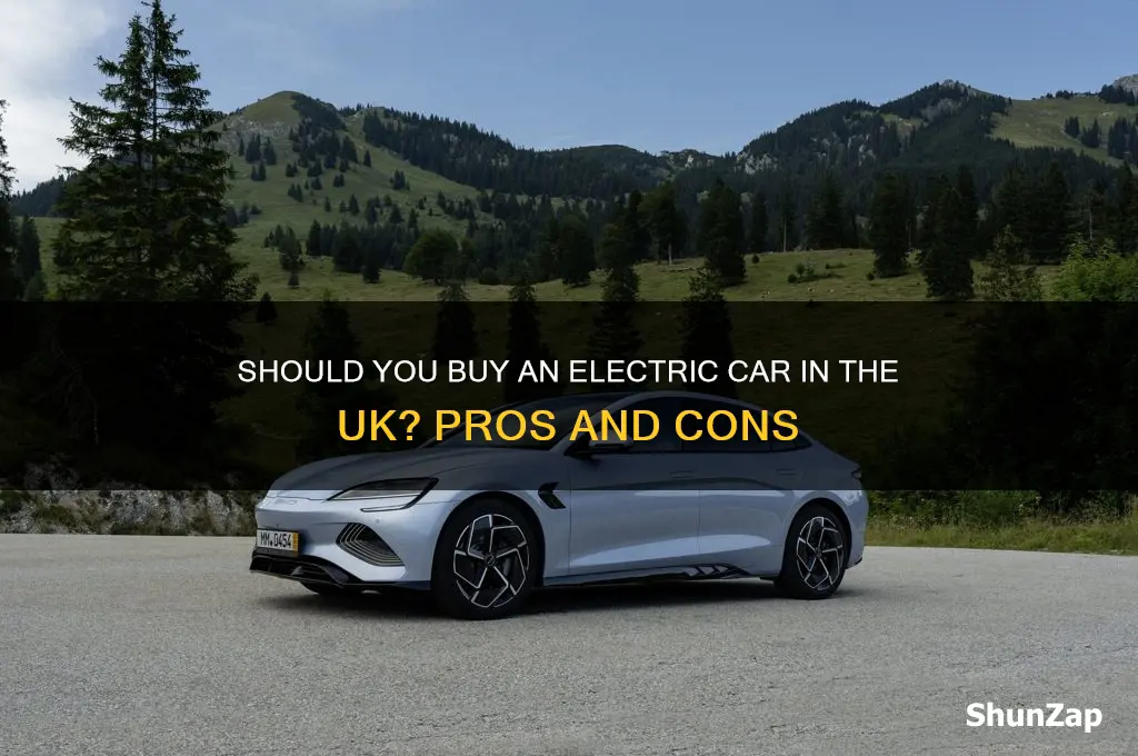 should i buy an electric car uk