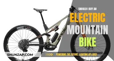 Electric Mountain Bikes: Worth the Investment?