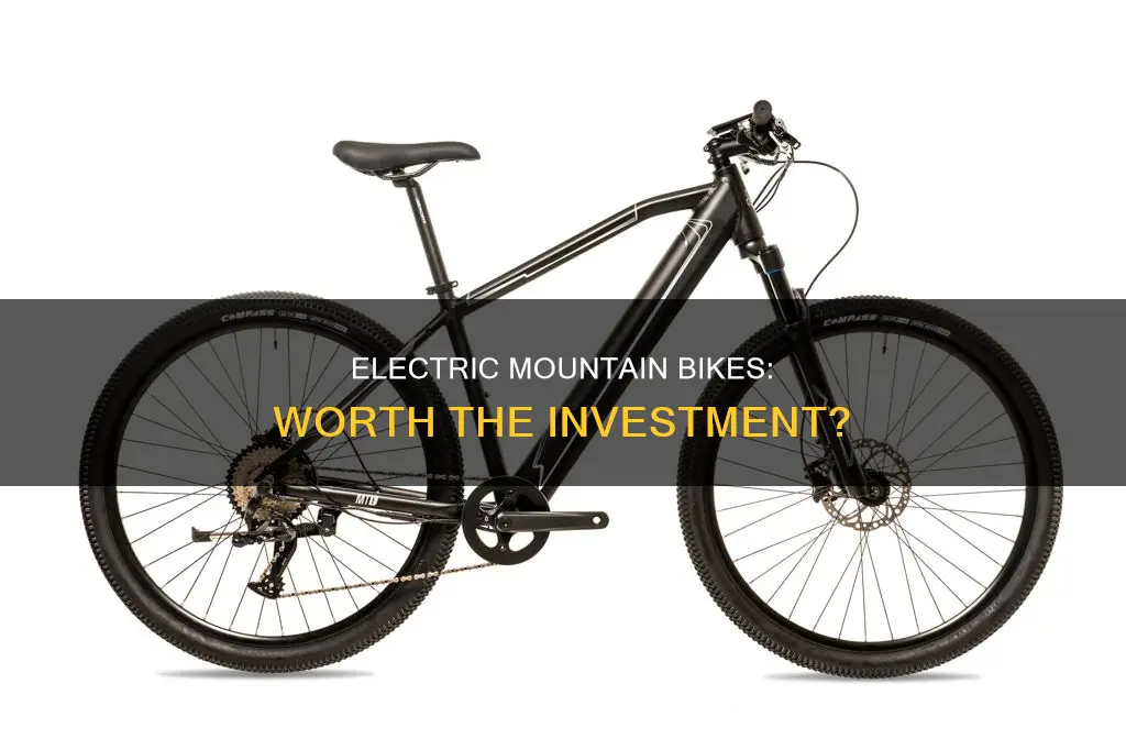 should i buy an electric mountain bike