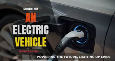 Electric Vehicles: To Buy or Not to Buy?