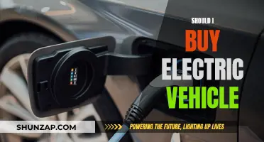 Electric Vehicles: Worth the Switch?