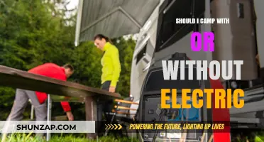 Electric Camping: Is It Worth the Extra Cost?