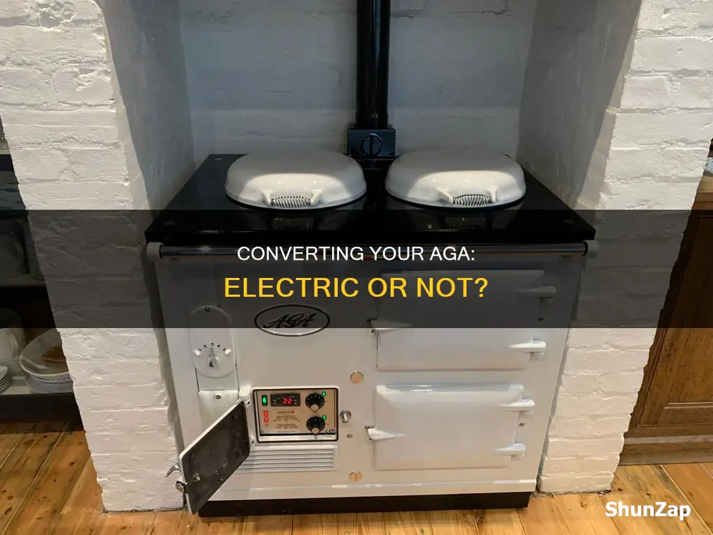 should i convert my aga to electric