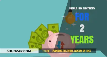 Electricity: Locking in a Two-Year Rate