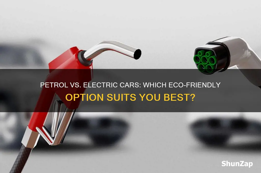 should i get a petrol car or electric car