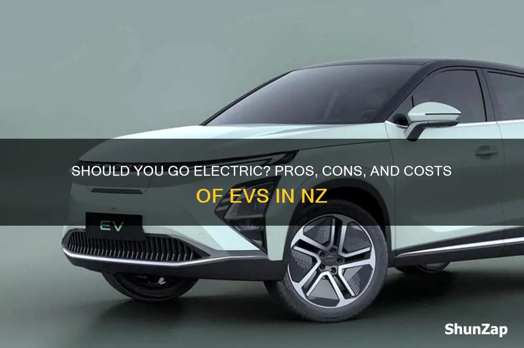 should i get an electric car nz