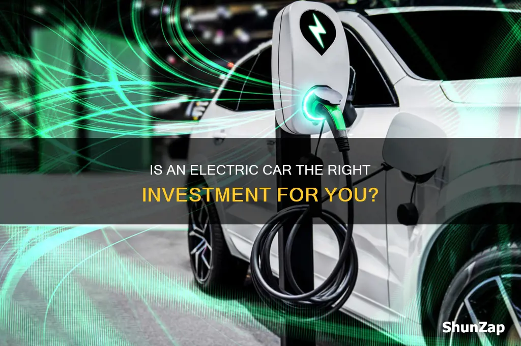 should i invest in an electric car
