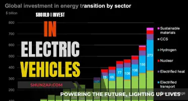 Electric Vehicles: A Smart Investment for a Sustainable Future?