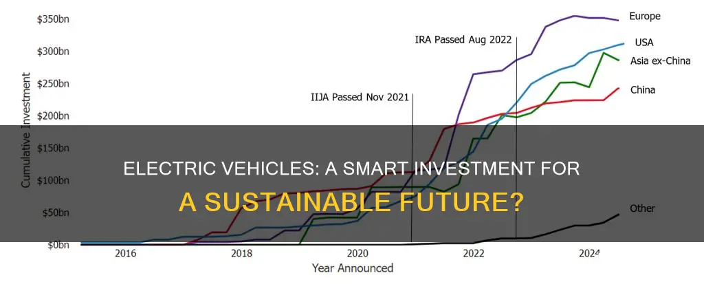 should i invest in electric vehicles