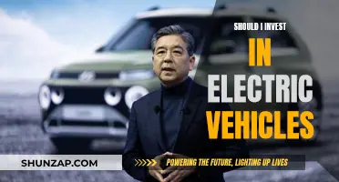 Electric Vehicles: Worthy Investment or Costly Mistake?