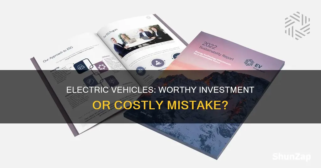 should i invest in electric vehicles