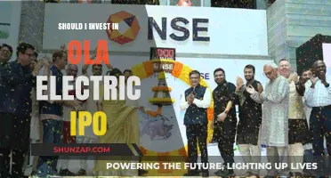 Ola Electric IPO: Should You Invest?