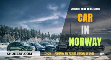 Is Renting an Electric Car in Norway Right for You?