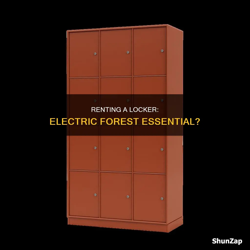 should i rent locker at electric forest