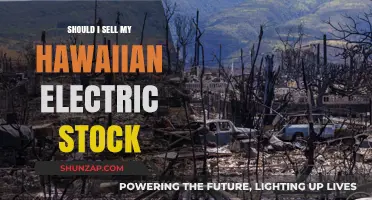 Hawaiian Electric Stock: To Sell or Not to Sell?