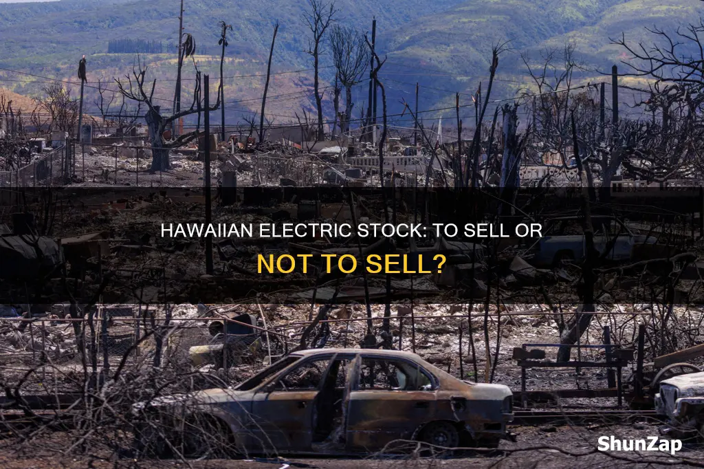 should i sell my hawaiian electric stock