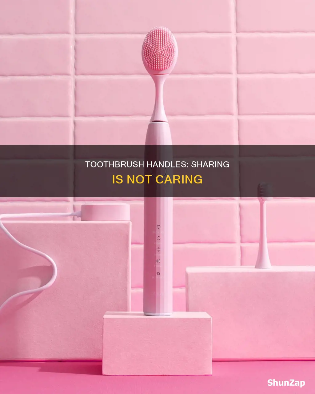 should i share electric tooth brush handle