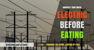 Maya Electric: Pre-Meal Energy Boost or Bust?
