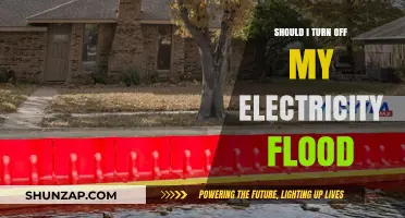 Why You Should Turn Off Your Electricity Flood